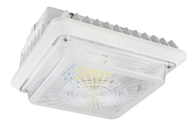 Canopy Lights