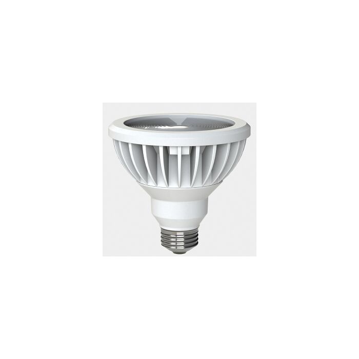 GE 20151 LED PAR30L Bulb - LED17DP30LW93025 - ONE UNIT Remaining!!!