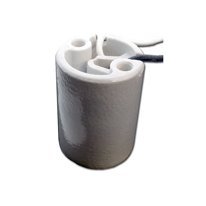 5KV Mogul Base Socket with 17" Leads & Bushings