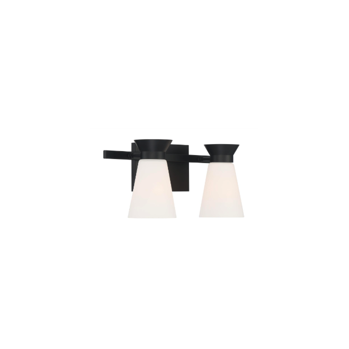 Nuvo 60-7312 Caleta - 2 Light Vanity with Cylindrical Glass - Black Finish