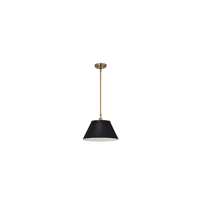Nuvo 60-7411 Dover; 1 Light; Medium Pendant; Black with Vintage Brass