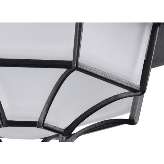 Nuvo 62-1400 LED Spider Cage Fixture; Black Finish with Frosted Glass
