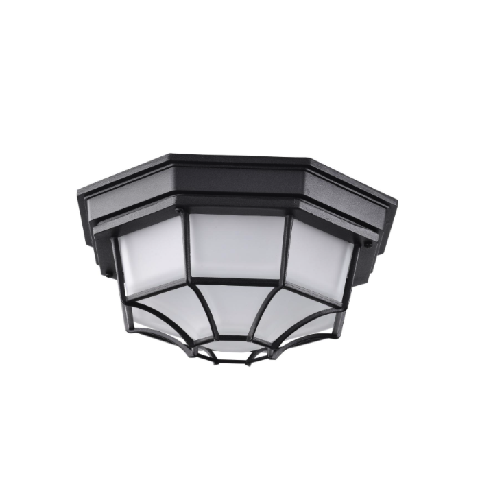 Nuvo 62-1400 LED Spider Cage Fixture; Black Finish with Frosted Glass
