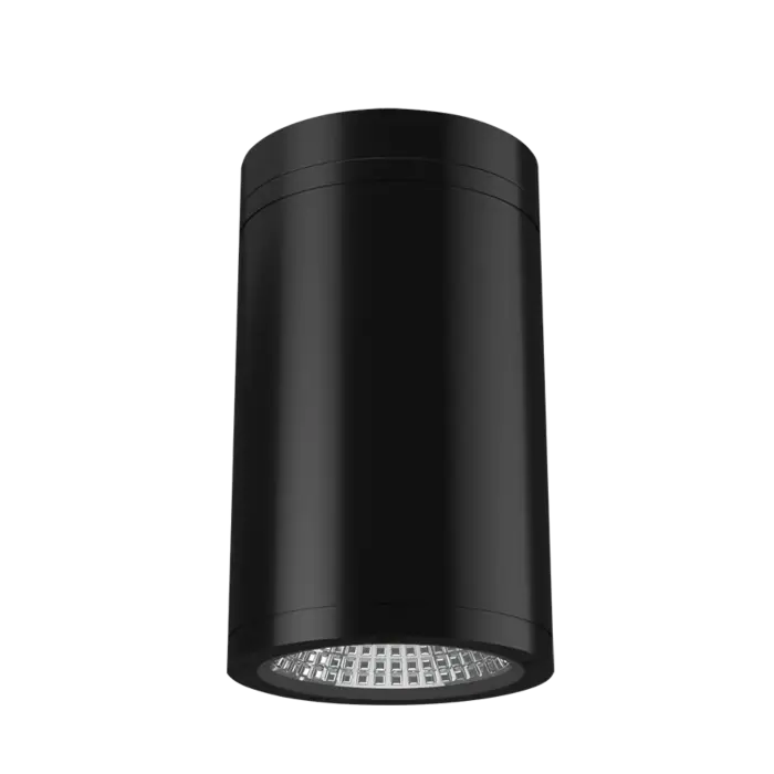 RAB Lighting CD34FA4SP-20-509-KC - 20W - 27K/30K/35K/40K/50K - Black - 120V
