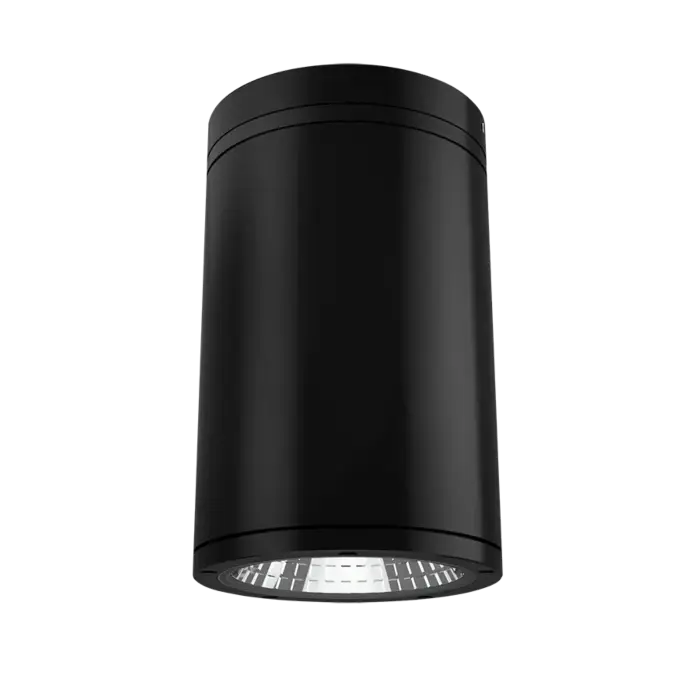 RAB Lighting CD34FA6SP-30-709-KC - 30W - 27K/30K/35K/40K/50K - Black - 120V