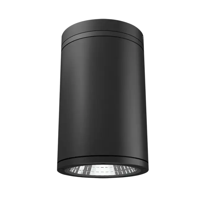 RAB Lighting CD34FA6SP-30-709-ZC - 30W - 27K/30K/35K/40K/50K - Bronze - 120V