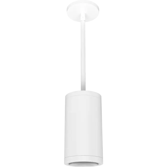 RAB Lighting CDLED4PS-20W-80D950-W - 20W - 5000K - Matte White - 120V