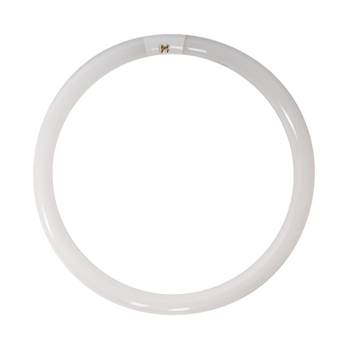 Sylvania 20142 - FC12T9/CW/RS T9 Circline Lamp - DISCONTINUED. SEE Alternatives Below