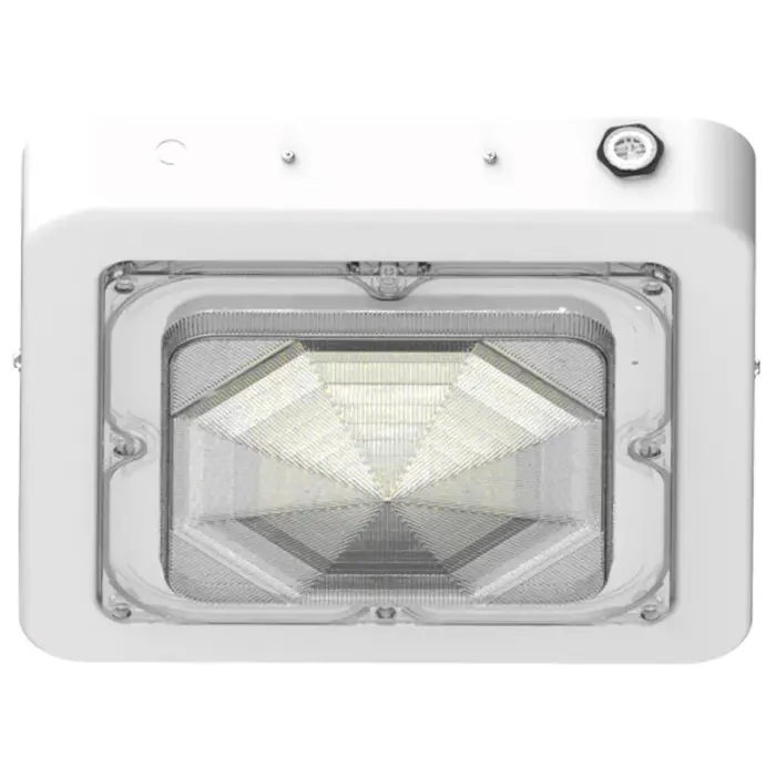 Westgate CXES-30-60W-MCTP-WH - Square New Concept Garage and Ceiling Lights