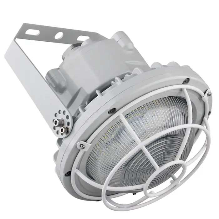 Westgate EXPR-30-60W-WGD - Hazardous Location Flood/Highbay Light Dome Wire Guard