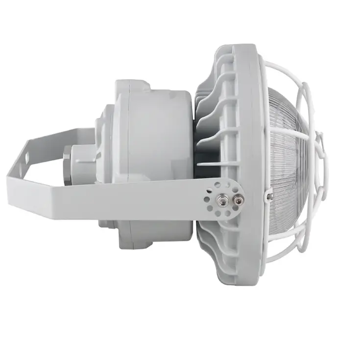 Westgate EXPR-30-60W-WGD - Hazardous Location Flood/Highbay Light Dome Wire Guard
