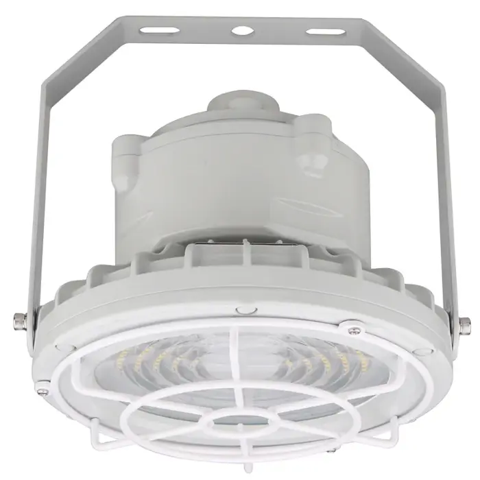 Westgate EXPR-30-60W-WGF - Hazardous Location Flood/Highbay Light Flat Wire Guard