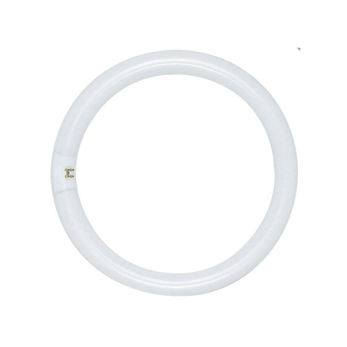 Satco FC12T9/CW (S6503) 32 Watt T9 Circline Lamp - 4100K
