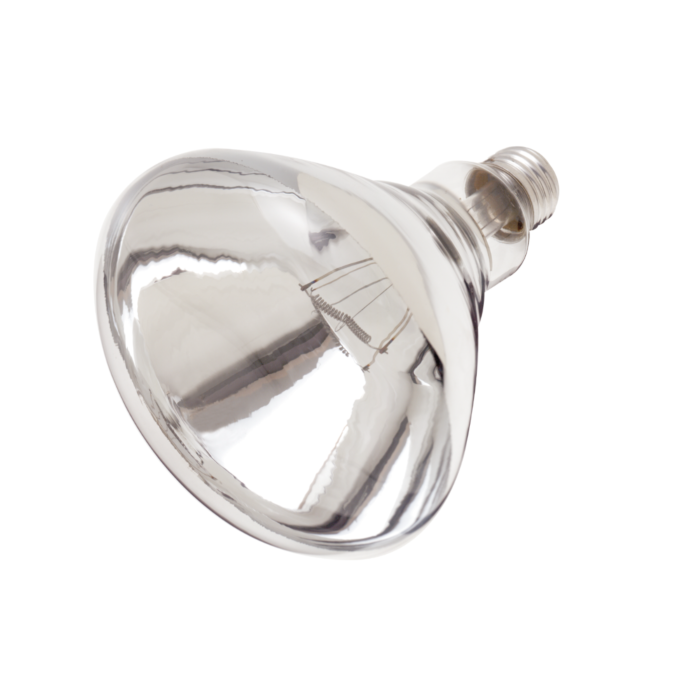 Satco S4885 - 250BR40/1/TF Shatterproof BR40 Heat Lamp, Clear