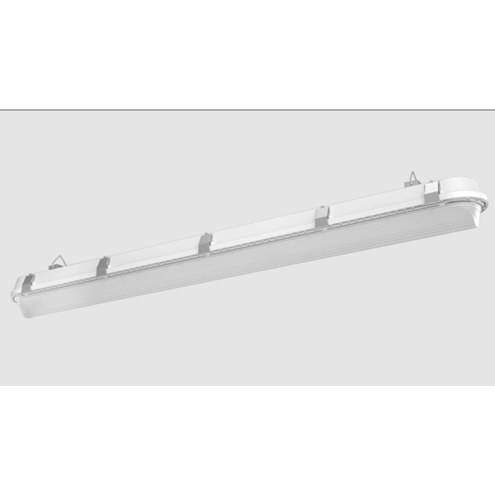 RAB SHARK®Field-Adjustable Linear Washdown 4'