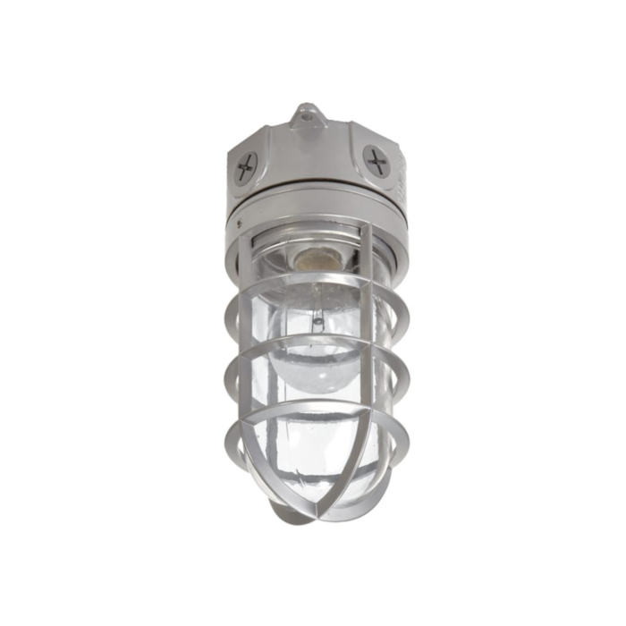 Halo VT100G VT Series, 100 Watt Vapor Tight floodlight