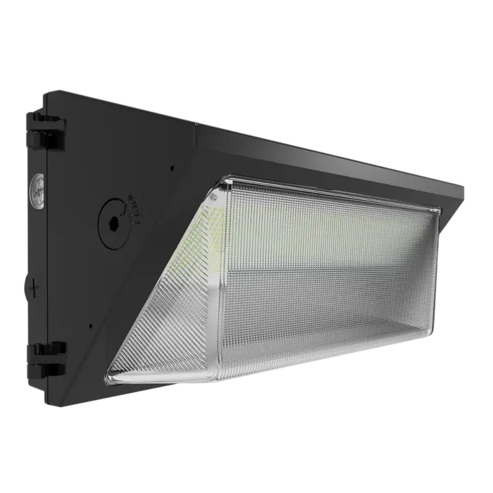RAB Lighting W22-L-150/E -  150/125/100/75W - 3000K/4000K/5000K - Bronze - 120V
