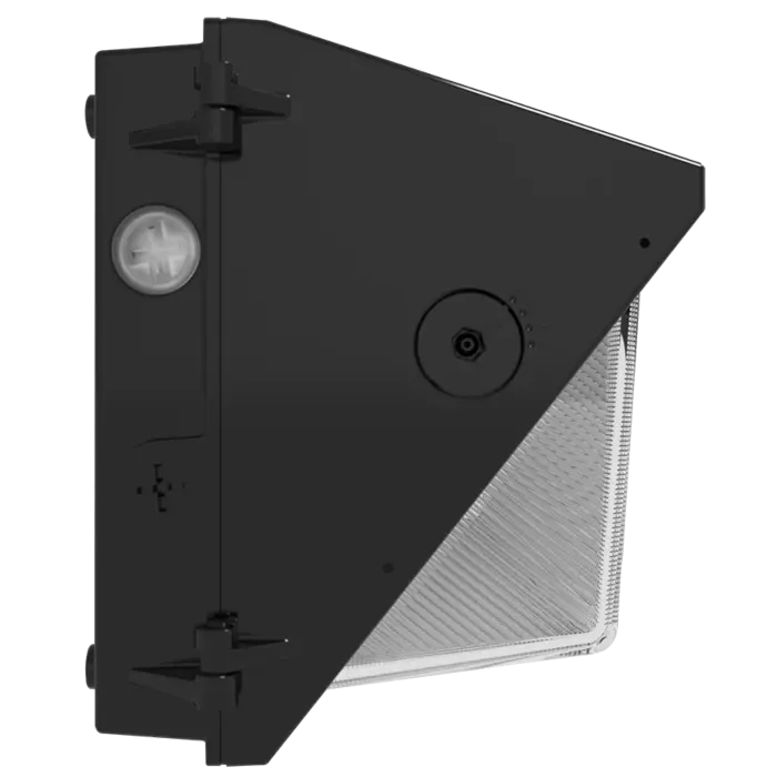 RAB Lighting W22-L-150/E -  150/125/100/75W - 3000K/4000K/5000K - Bronze - 120V