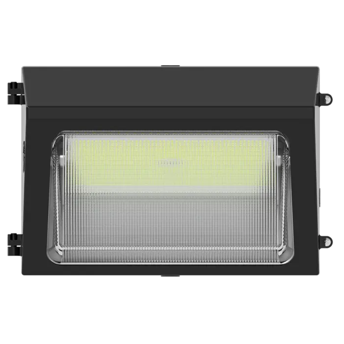 RAB Lighting W22-M-100/E -  100/85/70/50W - 3000K/4000K/5000K - Bronze - 120V