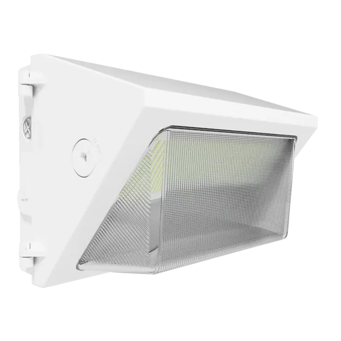 RAB Lighting W22-M-100W/E -  100/85/70/50W - 3000K/4000K/5000K - White - 120V