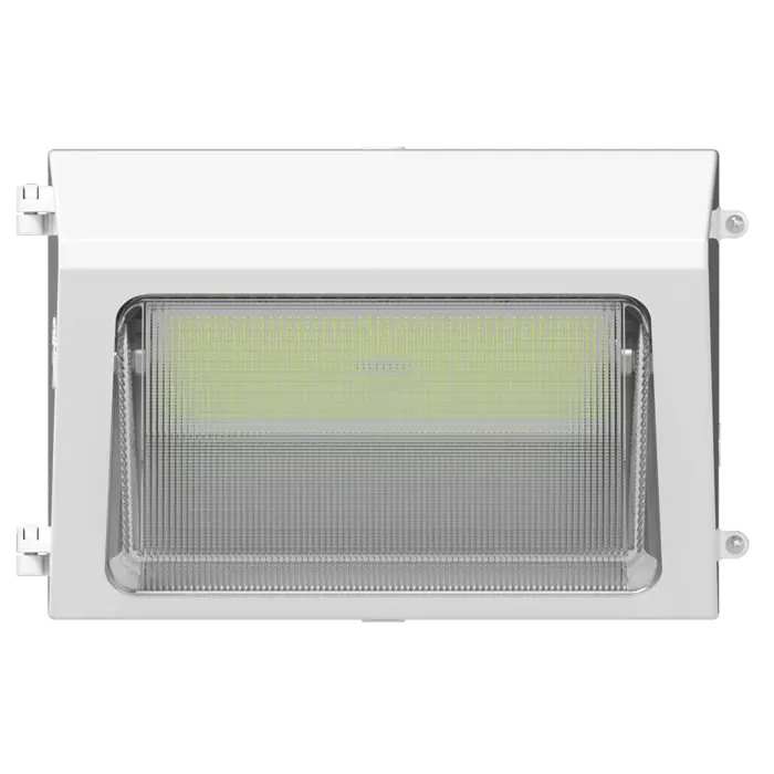 RAB Lighting W22-M-100W/E -  100/85/70/50W - 3000K/4000K/5000K - White - 120V