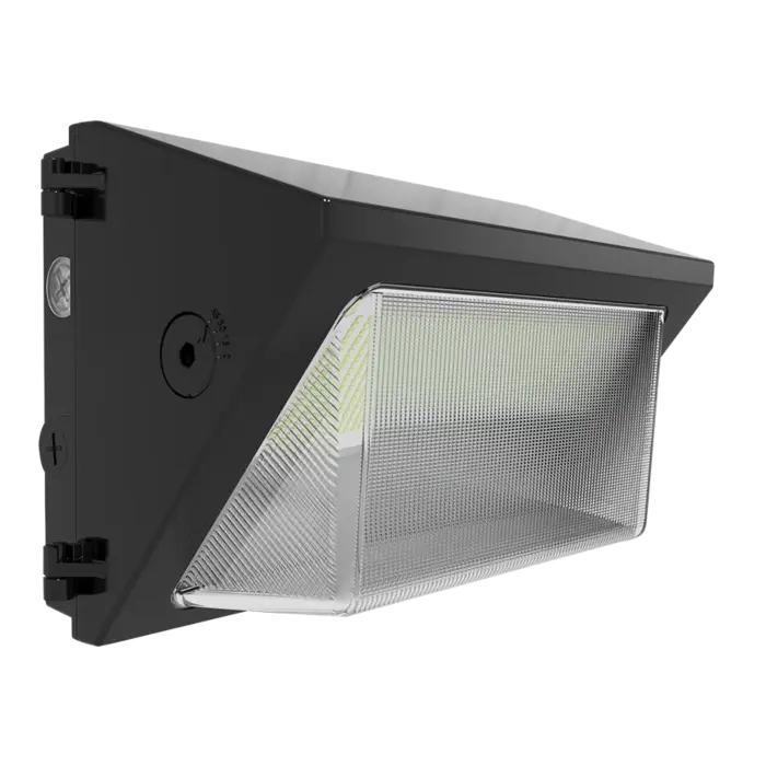 RAB Lighting W22-M-60/E -  60/50/40/30W - 3000K/4000K/5000K - Bronze - 120V