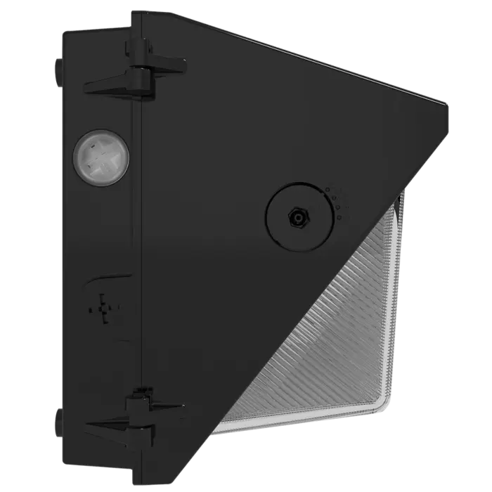 RAB Lighting W22-M-60/E -  60/50/40/30W - 3000K/4000K/5000K - Bronze - 120V