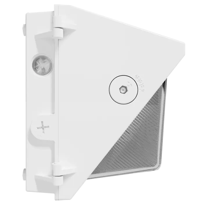 RAB Lighting W22-M-60W -  60/50/40/30W - 3000K/4000K/5000K - White - 120V