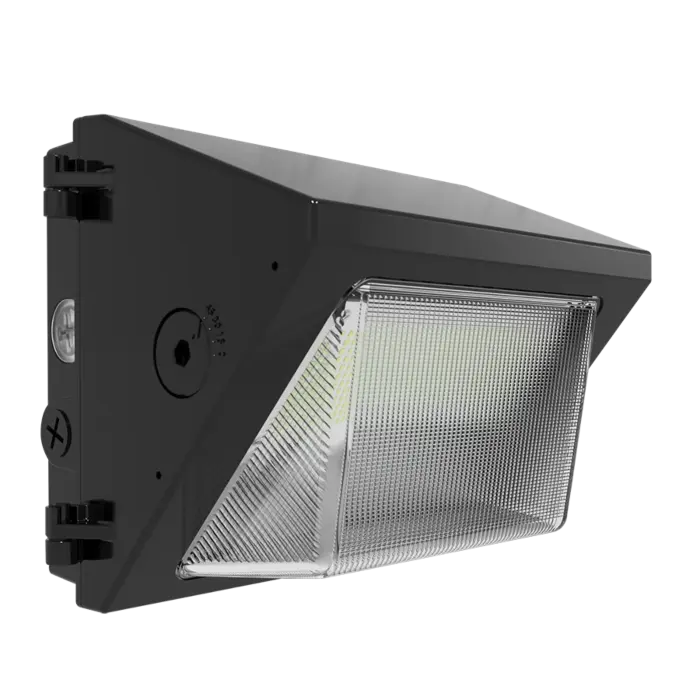 RAB Lighting W22-S-30 -  30/25/20/15W - 3000K/4000K/5000K - Bronze - 120V