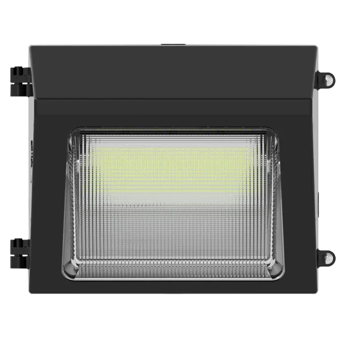 RAB Lighting W22-S-30 -  30/25/20/15W - 3000K/4000K/5000K - Bronze - 120V