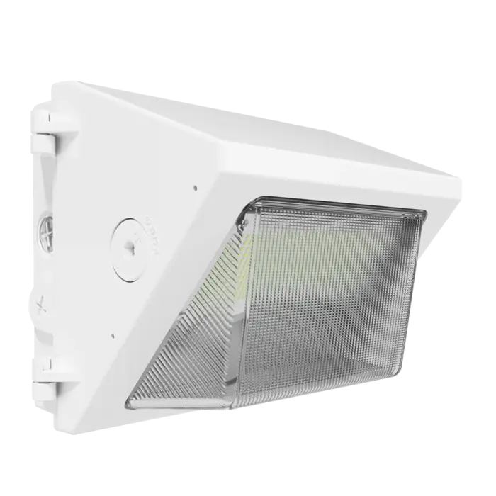 RAB Lighting W22-S-30W -  30/25/20/15W - 3000K/4000K/5000K - White - 120V