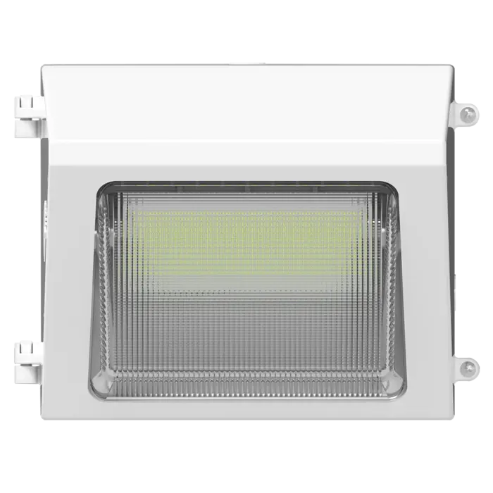 RAB Lighting W22-S-30W -  30/25/20/15W - 3000K/4000K/5000K - White - 120V