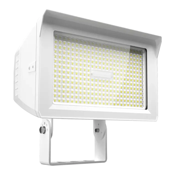 RAB X22-150W Color/Watt Selectable LED Flood Light - 150/125/100/75 Watts - White - 120V