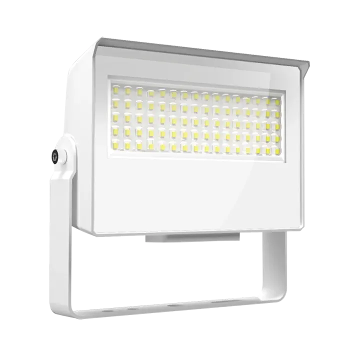 RAB X22-35W LED Flood Light - 2,832-5,286 Lumens - 35/30/25/20 Watts -3000K/4000K/5000K - White - 120V