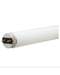 PHILIPS 368472 - F40T8/TL841 ALTO T8 Linear Fluorescent Lamp - BACKORDERED Until JUNE 2024