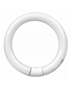 GE FC12T9/CW (33890) 32 Watt T9 Circline Lamp