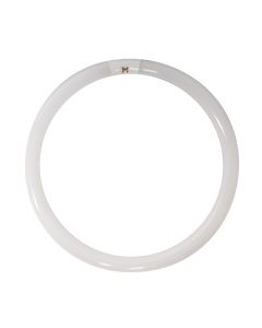 Sylvania 20142 - FC12T9/CW/RS T9 Circline Lamp - DISCONTINUED. SEE Alternatives Below