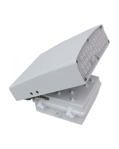 Westgate LWA-20CW-WH Led Adjustable Cutoff Wall Pack **LIMITED QUANTITY AVAILABLE**