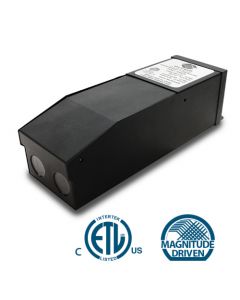 Magnitude M100L12DC-AR Constant Voltage LED Driver