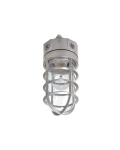 Halo VT100G VT Series, 100 Watt Vapor Tight floodlight