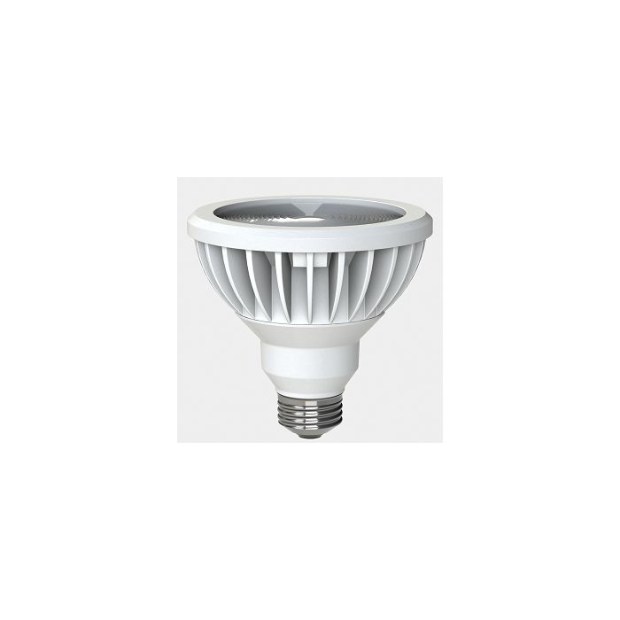 GE 20151 LED PAR30L Bulb 3000K