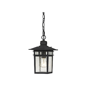 Nuvo 60-4956 Cove Neck - 1 Light 12" Hanging Lantern with Clear Seed Glass - Textured Black Finish
