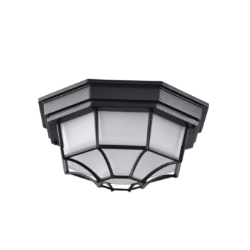 Nuvo 62-1400 LED Spider Cage Fixture; Black Finish with Frosted Glass