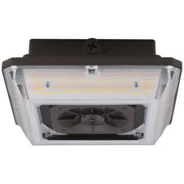 Westgate CAX-20-45W-MCTP-SR - Angled-Beam Garage Canopy