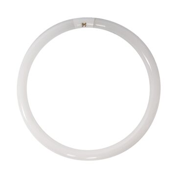 Sylvania 20148 (20113) - FC8T9/CW/RS T9 Circline Lamp