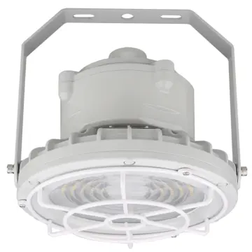 Westgate EXPR-30-60W-WGF - Hazardous Location Flood/Highbay Light Flat Wire Guard
