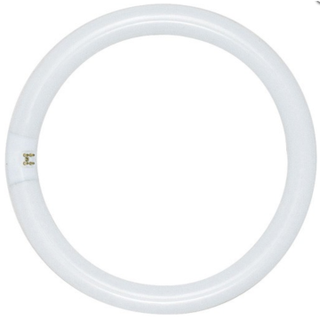 Satco FC16T9/CW (S6506) 40 Watt T9 Circline Lamp - 4100K