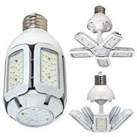 Flex Beam LED Lamps